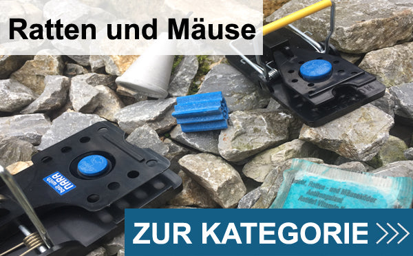 Mäuse
