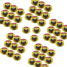 Laden Sie das Bild in den Galerie-Viewer, Detia Ameisen Köderdose Professional