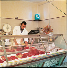 Laden Sie das Bild in den Galerie-Viewer, Insectivoro 363G Sterilizer