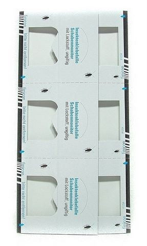 Schabenklebefalle mit Lockstoff - 3 teilig - Pheromonklebefalle - giftfrei