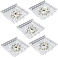 Laden Sie das Bild in den Galerie-Viewer, Silberfischen-Monitor/ Silberfischchen Falle