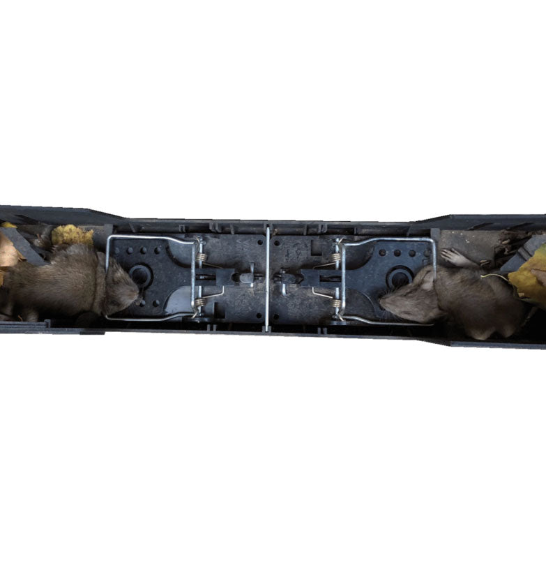 PROTEXX RST Schlagfallentunnel Ratten mit 2 Schagfallen