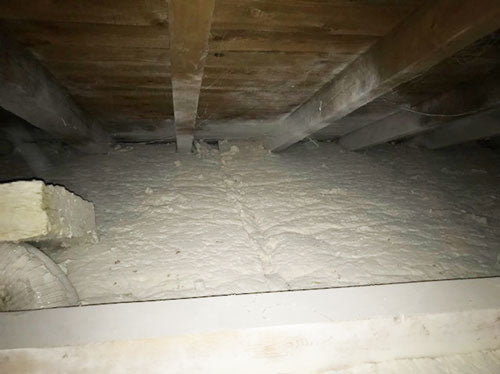 VERMINEX Pro Mardervergrämung