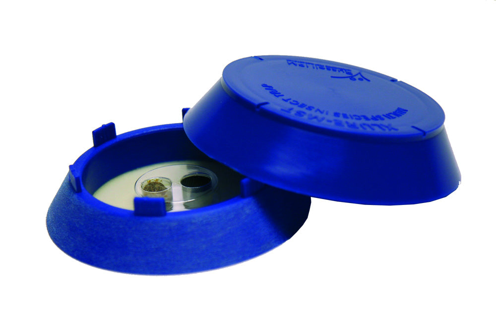 X Lure MST Monitoringfalle mit Pheromon (blau) gegen Brotkäfer, Tabakkäfer, Reiskäfer, Kornkäfer und Kaphrakäfer